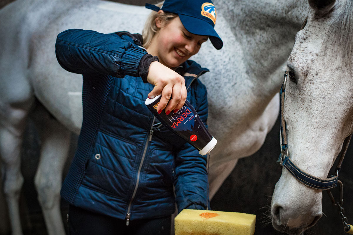 How to treat horses with small wounds? Cavalor Equicare