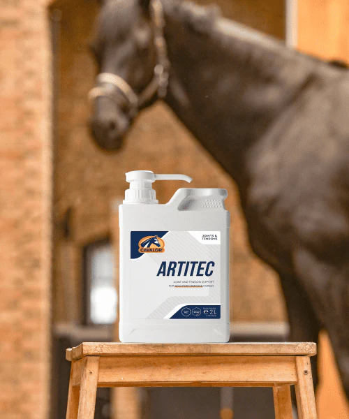 ArtiTec - Joint and tendon support