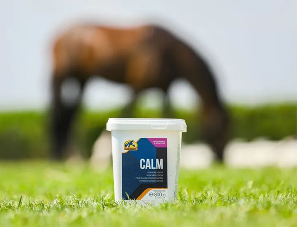 Calm