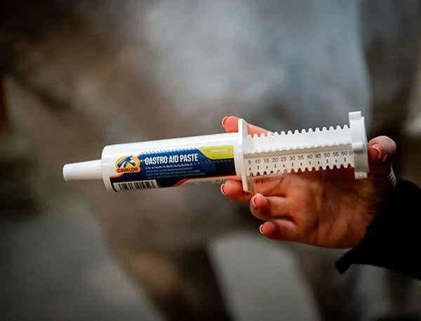 Gastro Aid Paste