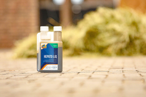 Hepato Liq - Liver and Kidney support