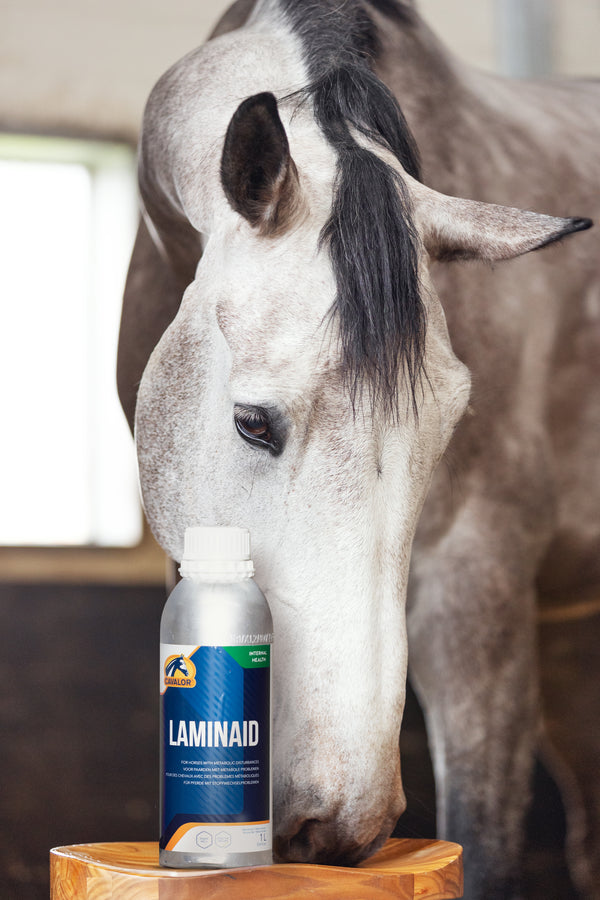 LaminAid - Supports metabolic issues