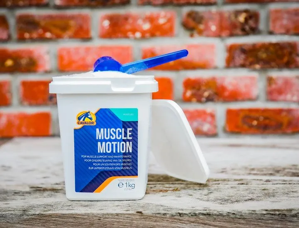 Muscle Motion