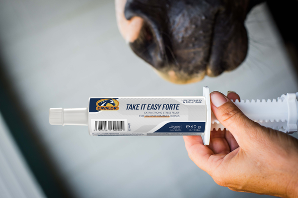 Take it Easy Forte - Extra strong stress relief