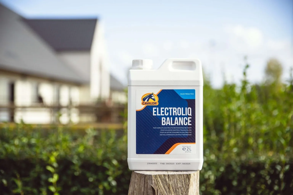 Electroliq Balance