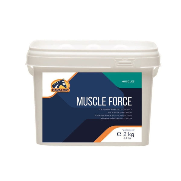 Muscle Force